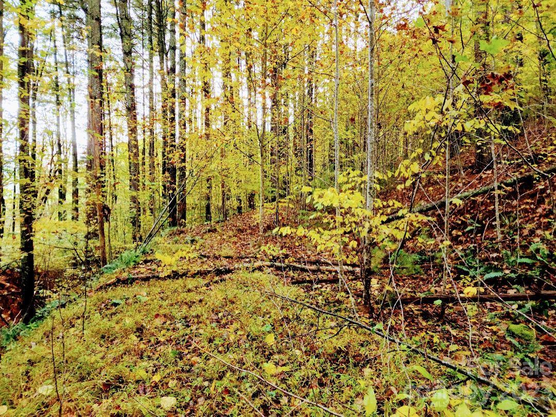 Chestnut Hill Estates - Land