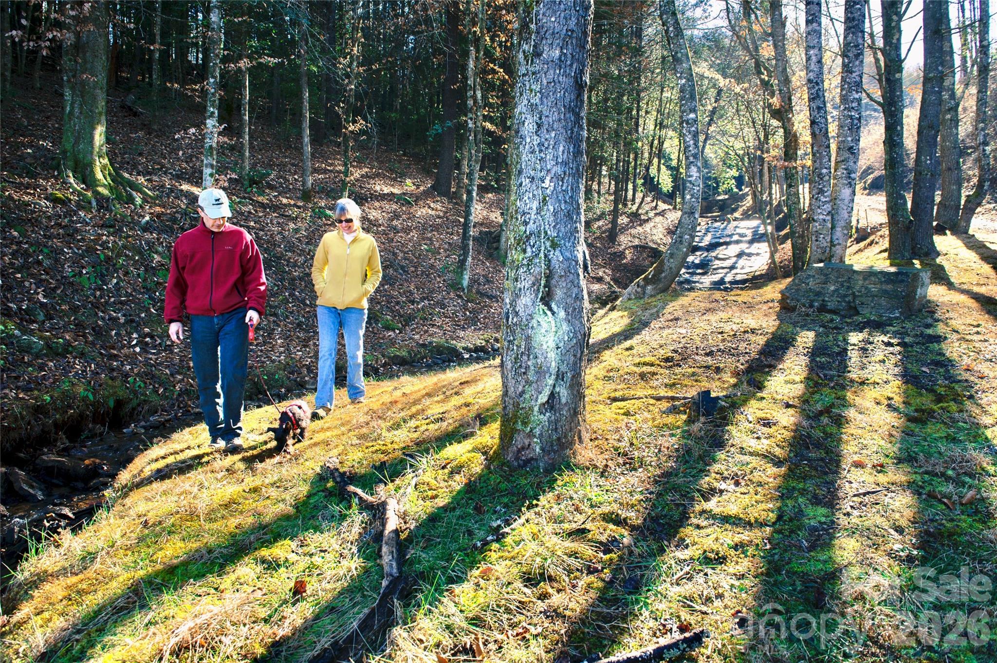 The Coves Mountain River Club - Land