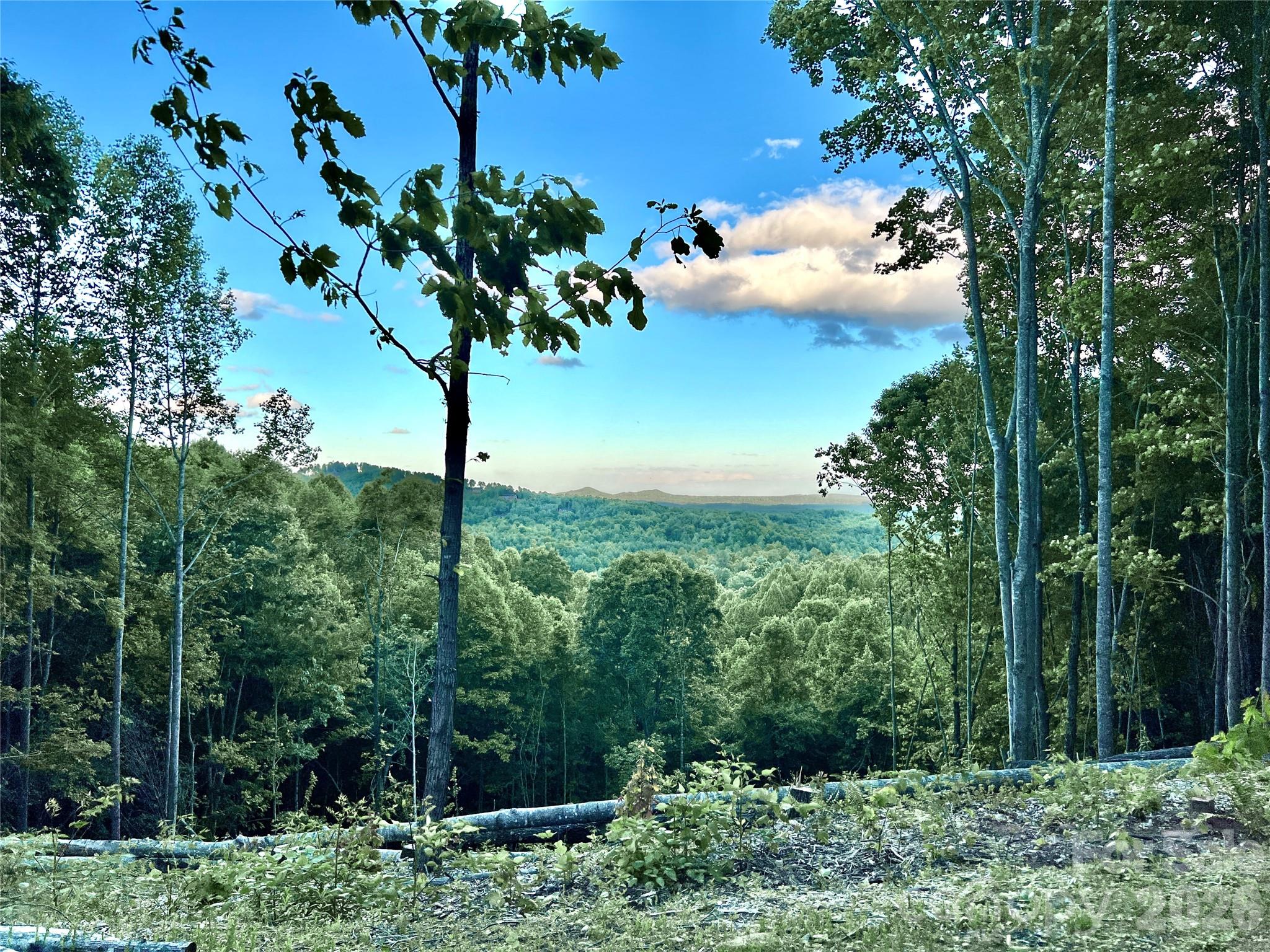 The Coves Mountain River Club - Land