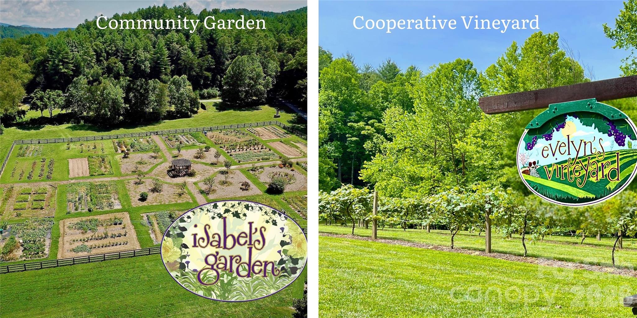 The Coves Mountain River Club - Land