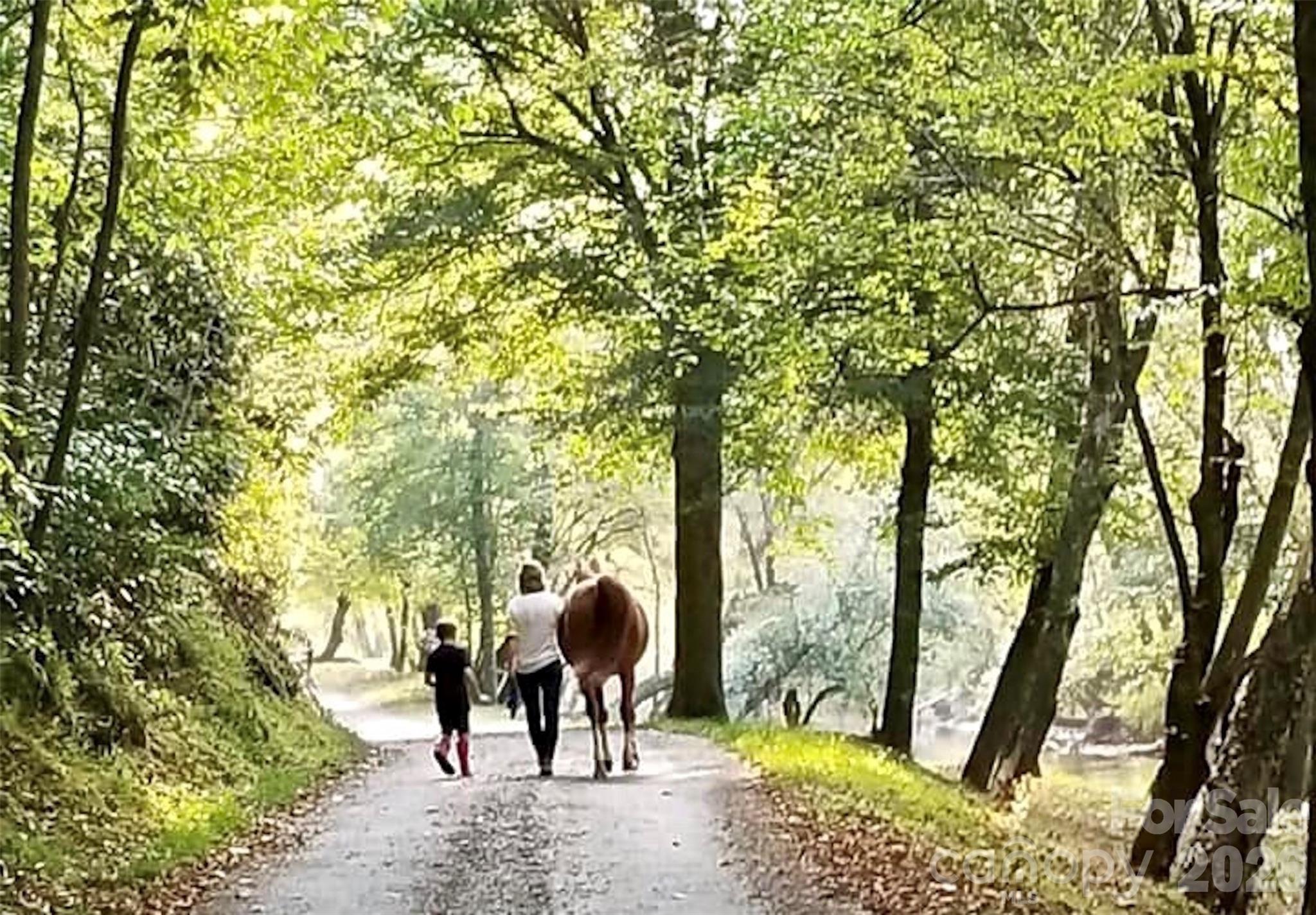 The Coves Mountain River Club - Land