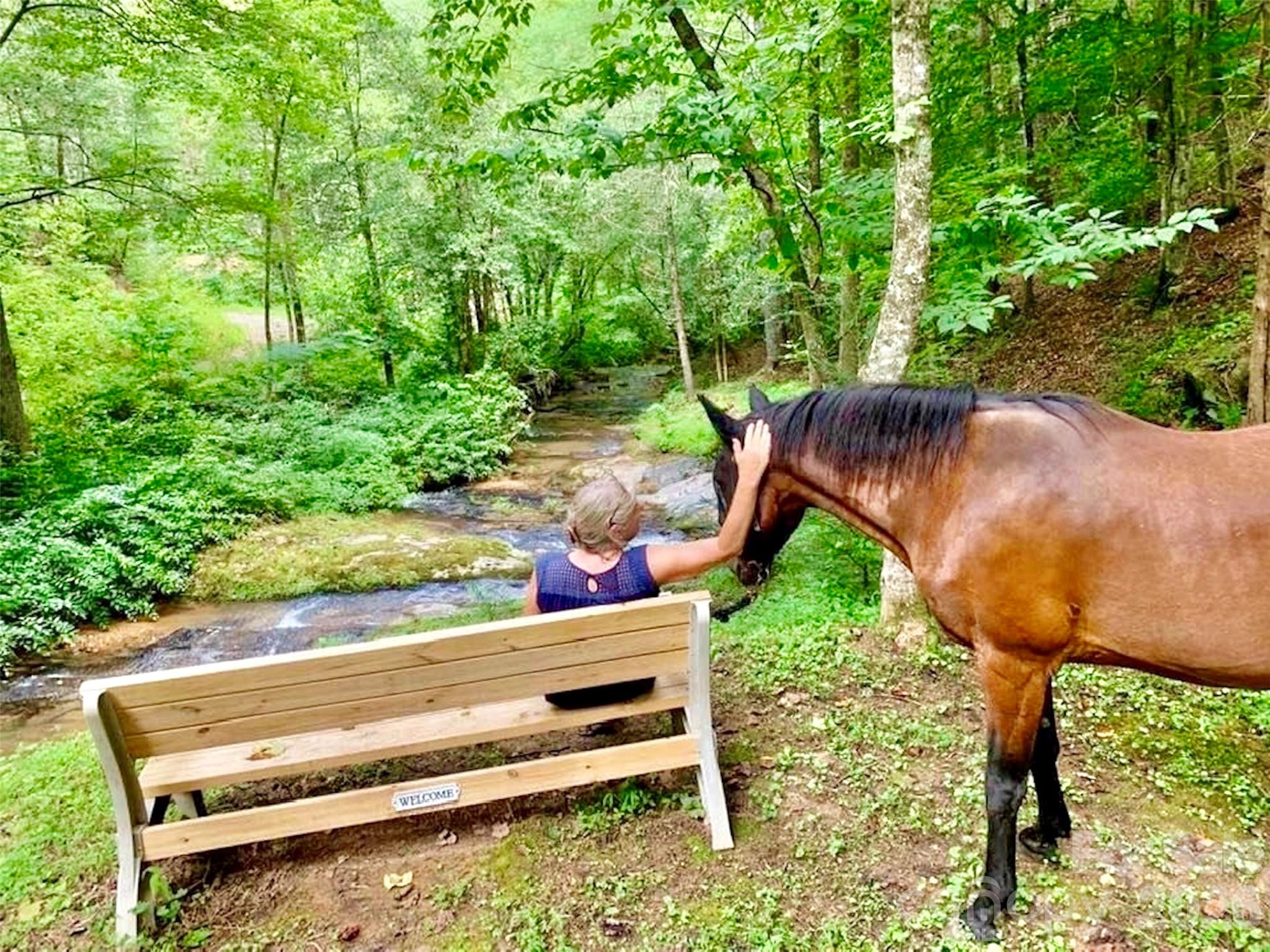 The Coves Mountain River Club - Land