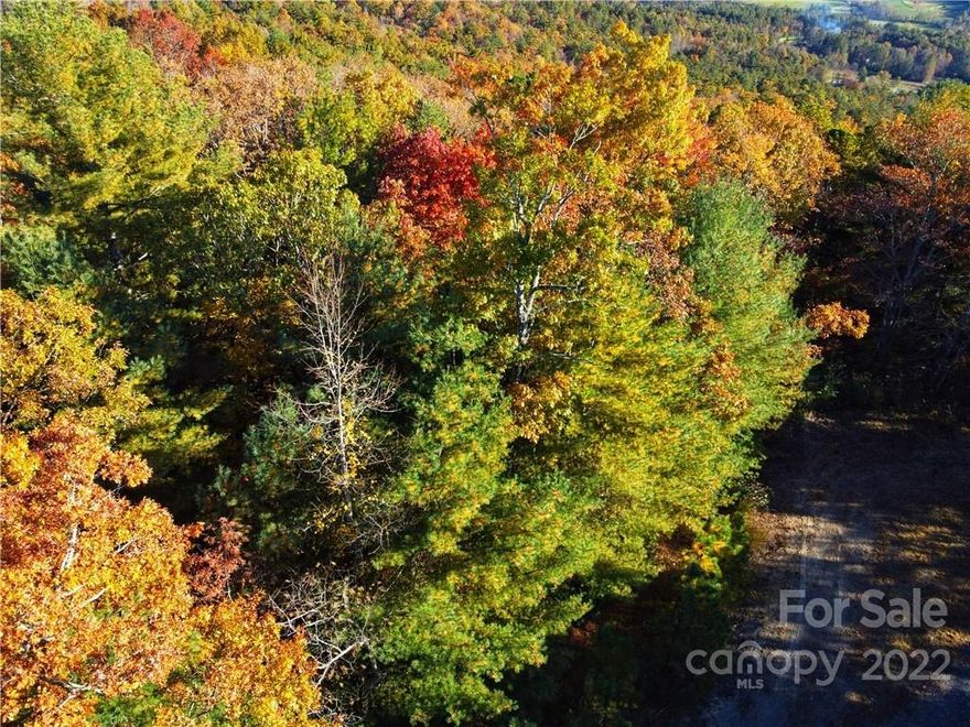 Tranquil and scenic Carolina mountain top living is what you will find here! This 1.02 acre level to gentle sloping lot in private Dogwood Mountain Estates is an excellent opportunity to build your forever, or a vacation home. Underground electric is already installed. Approximately 3300 ft above sea level. Located just minutes from DuPont State Forest, and the Oscar Blues Ranch as well as conveniently located close to  Historic Hendersonville and Brevard. ***This lot is not currently part of the Dogwood Mountain Estate HOA. Seller makes no representations regarding, and it is the buyer's responsibility to determine, the property's relationship to the HOA and any road Maintencance responsibility/fees. Please contact the Dogwood Mountain Estate HOA president-- Mike Hopton (251) 402-2504 for information. ***Buyer accepts full responsibility for septic permit/soil (perc) test and any required preparation, process and fees***