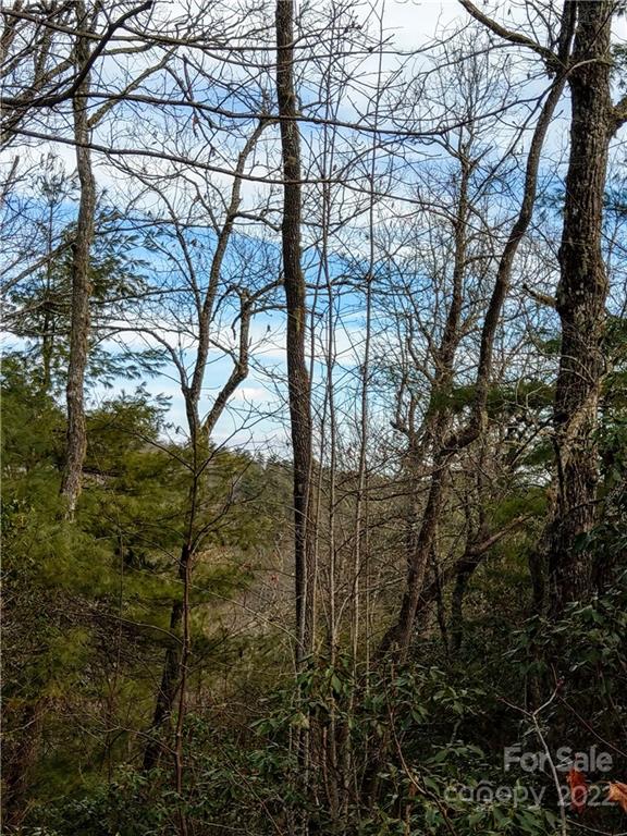 Dogwood Mountain Estates - Land