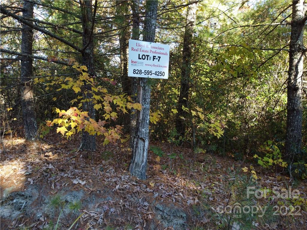 Dogwood Mountain Estates - Land