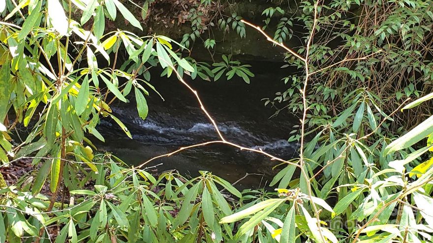 Three lots totaling 3.55 Acres in Happy Acres a waiting for your vision. Light restrictions, privacy and a bold creek with cascading waterfalls enhance this lot. With 450 ft road frontage and a short distance to the Headwaters State Forest, this is a forest lover's dream. The beginning and ending of these three lots are marked with pink tape and a yellow flag. Buyer to verify lot lines. No soil evaluation has been done. The build site is on the other side of the creek but a culvert could work to get you there.