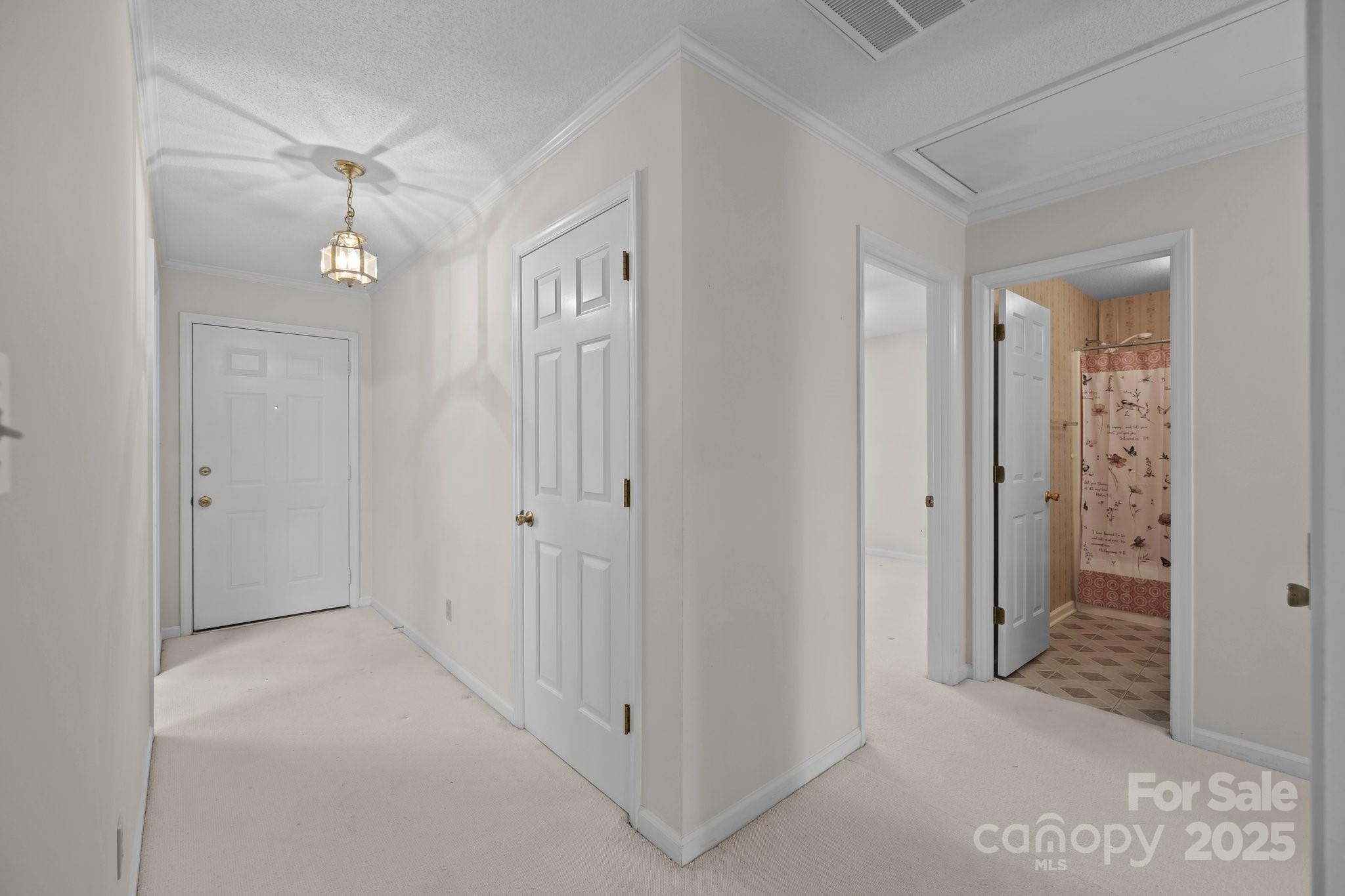 Olde Pointe - Residential