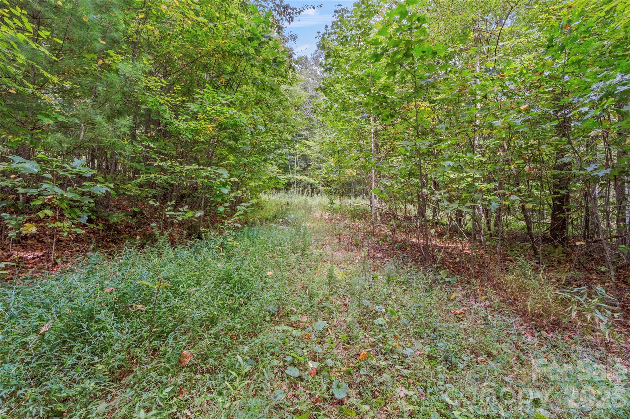 TBD Pond Road