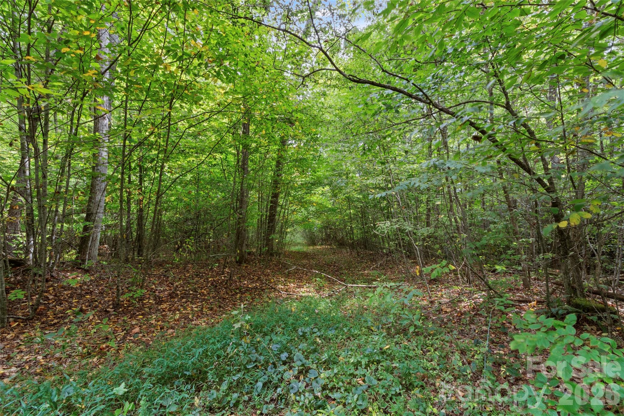 TBD Pond Road