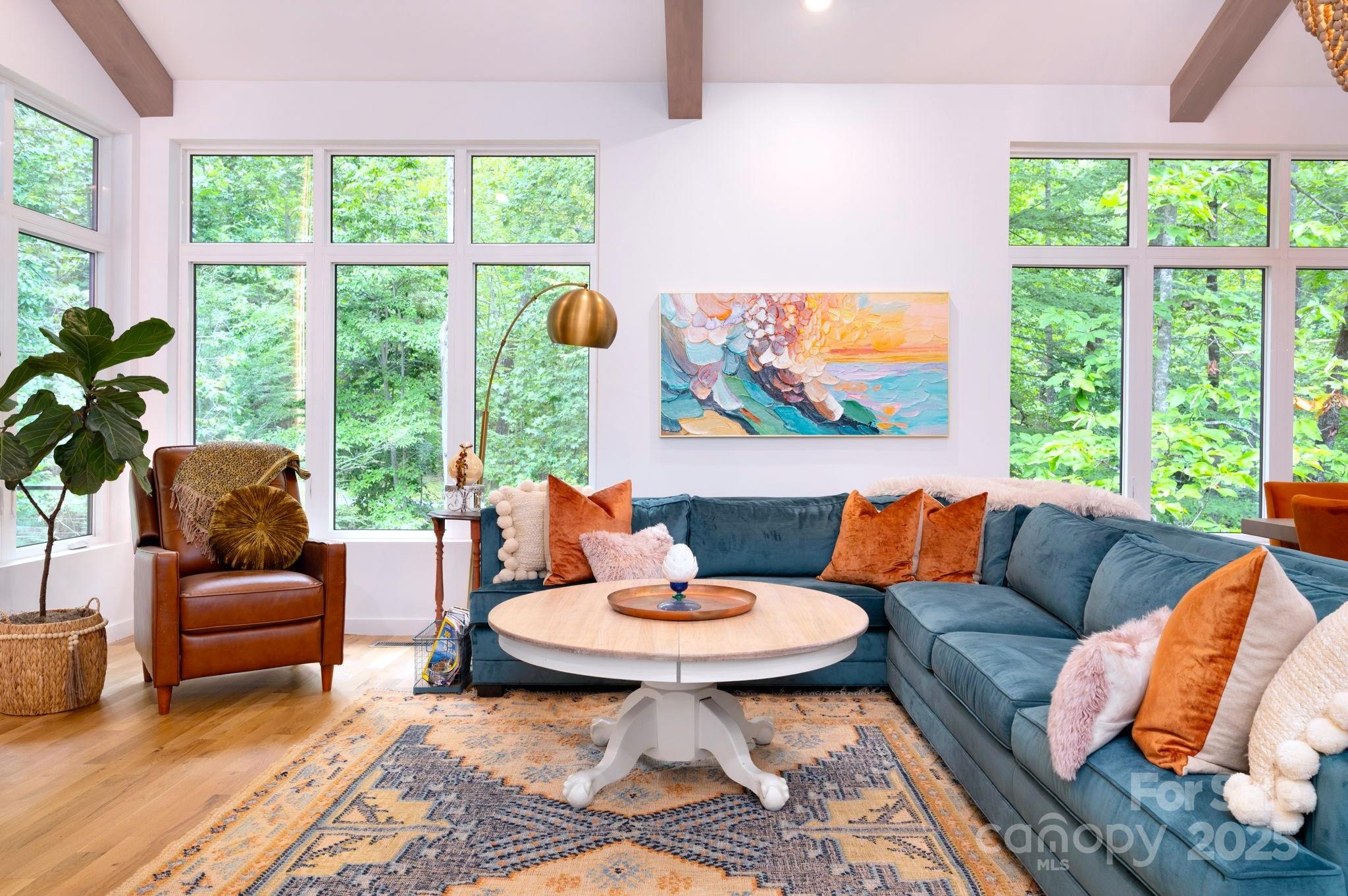 559 Shining Rock Path