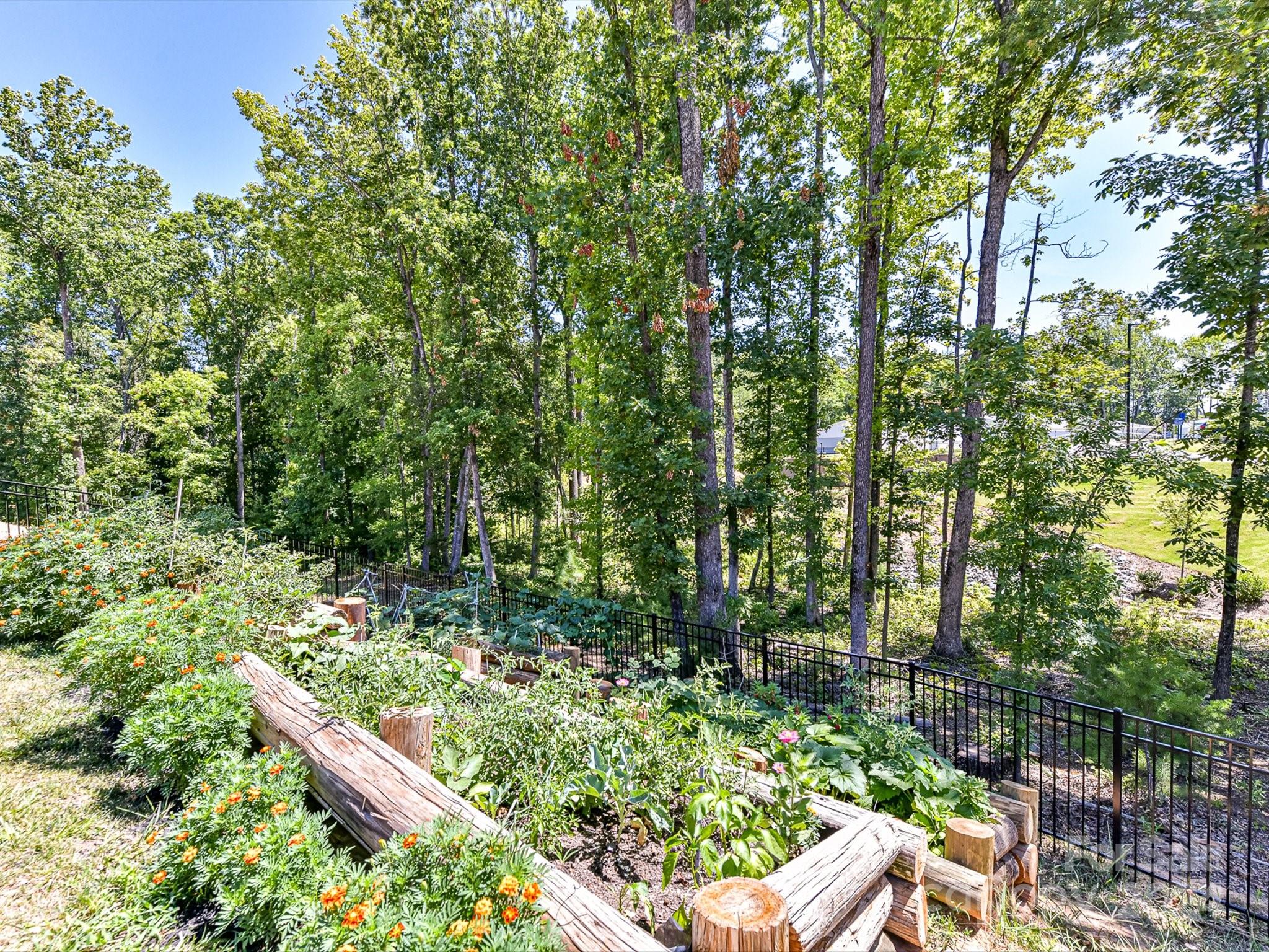 Avondale - Residential