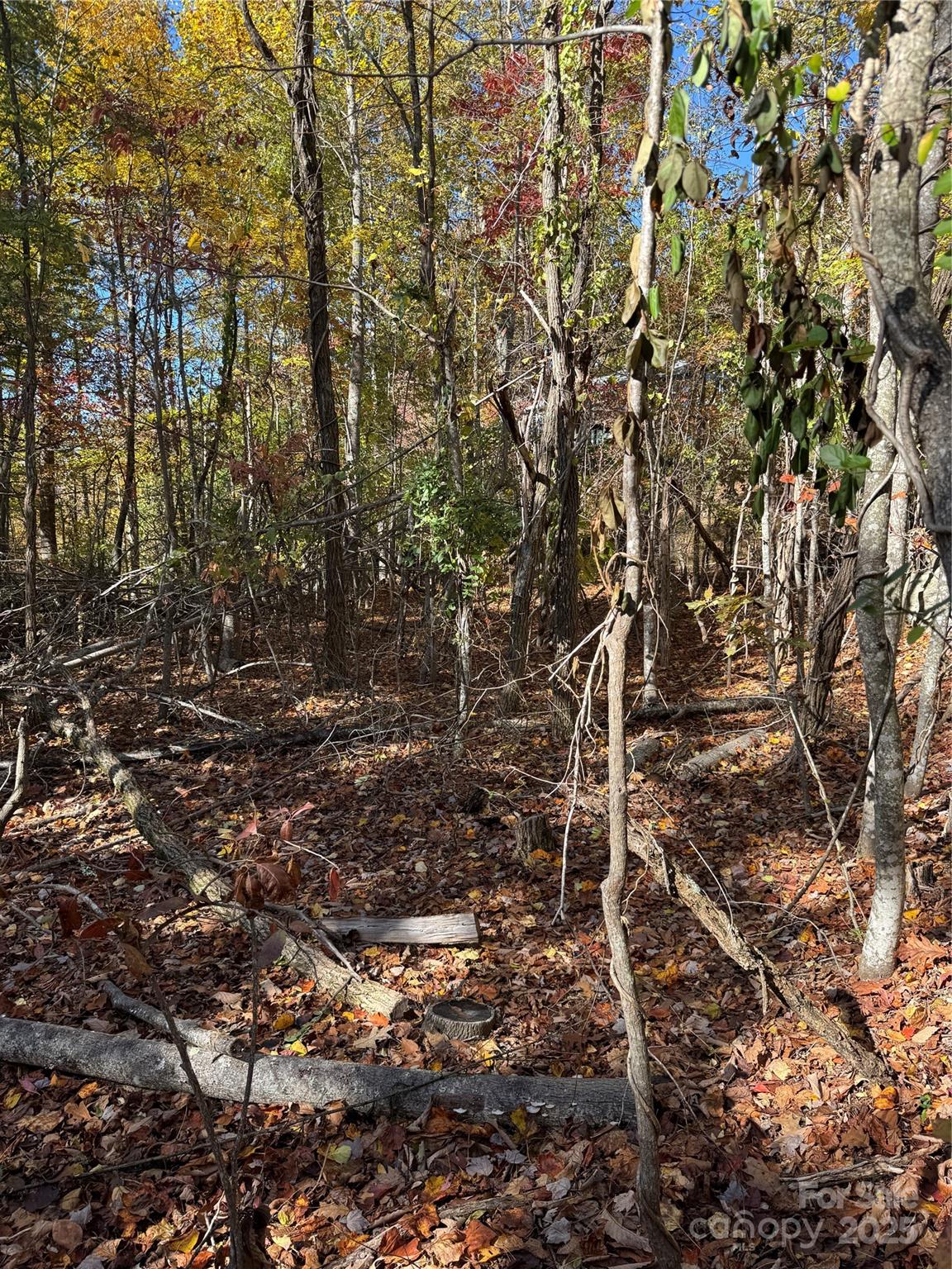 Wildwood Heights - Land