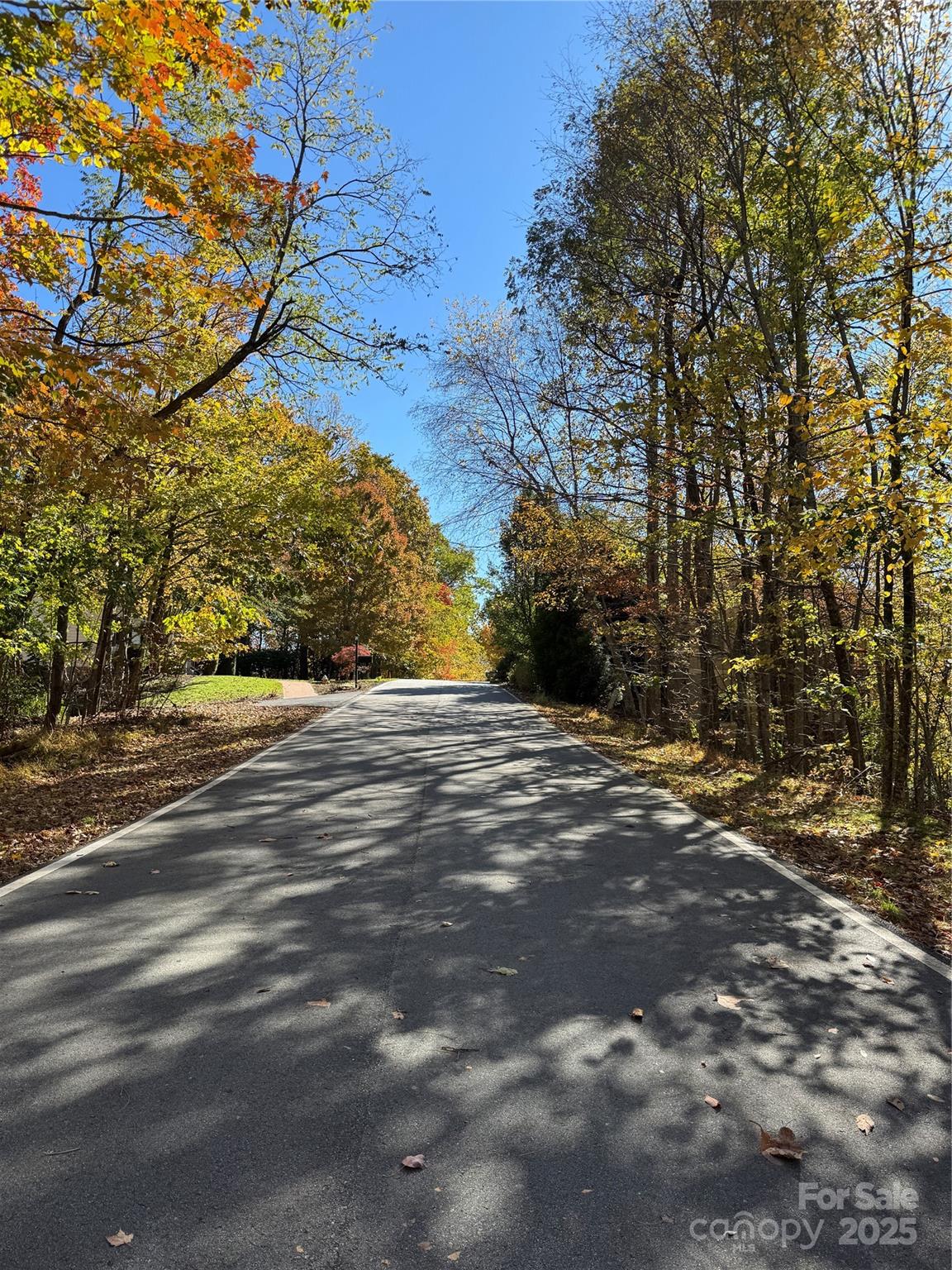 Wildwood Heights - Land