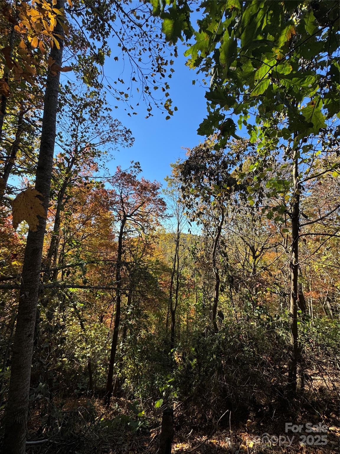 Wildwood Heights - Land