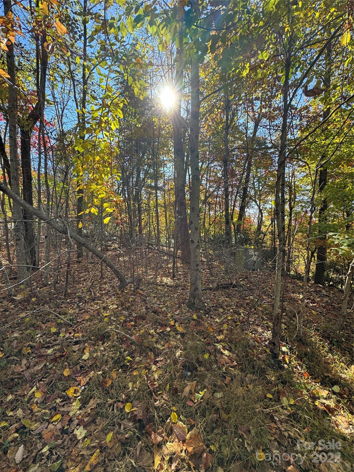 Wildwood Heights - Land