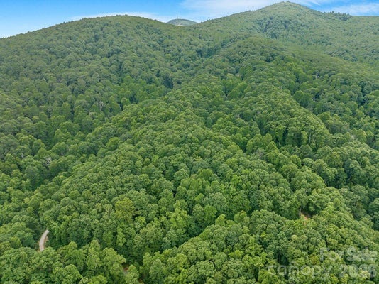 17 CARLS COVE RD, BLACK MOUNTAIN, NC 28711 - Image b899d3c87203daf9dc92bc4e3257acce/3693887501
