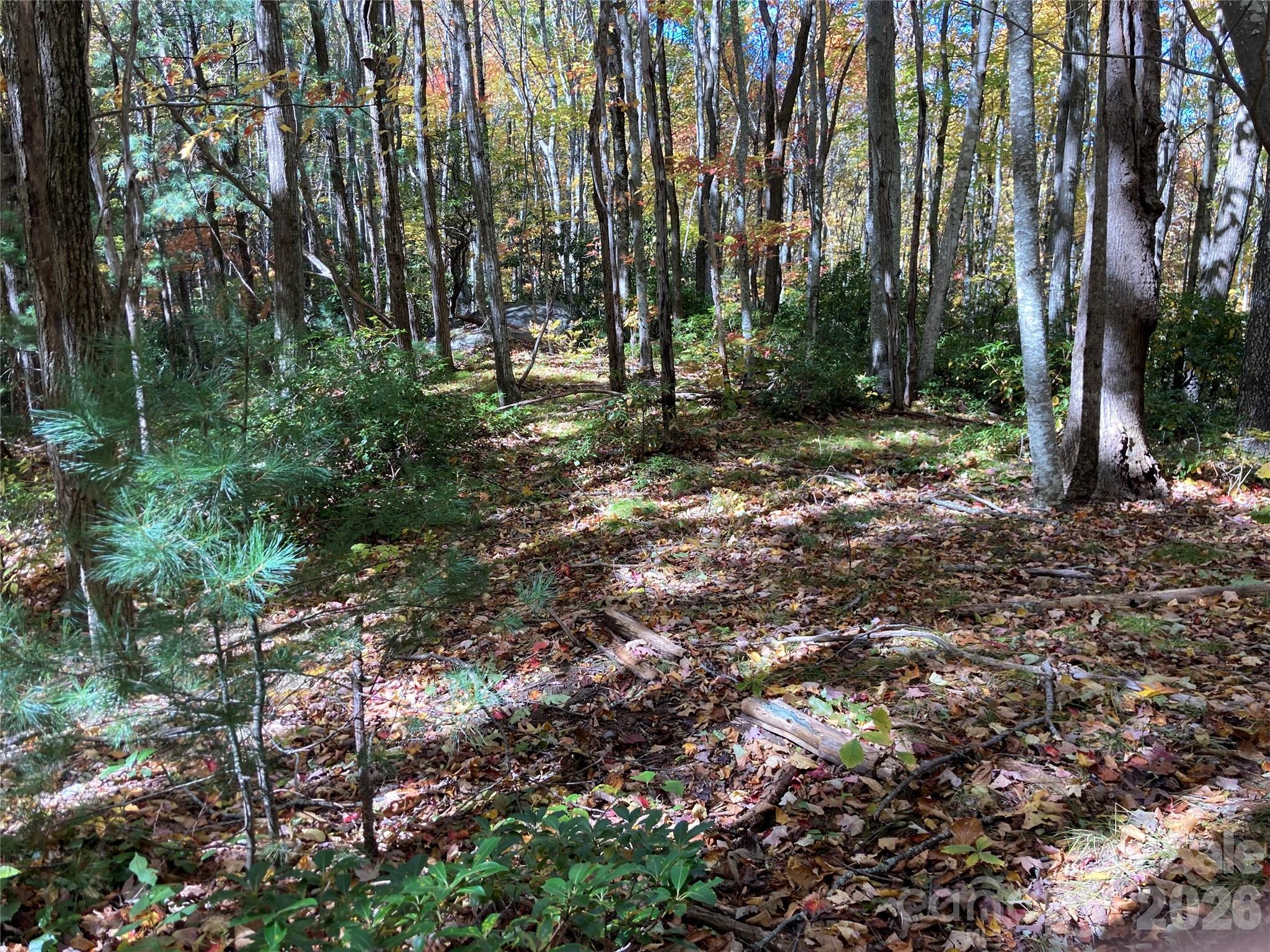 8 Carls Cove Road