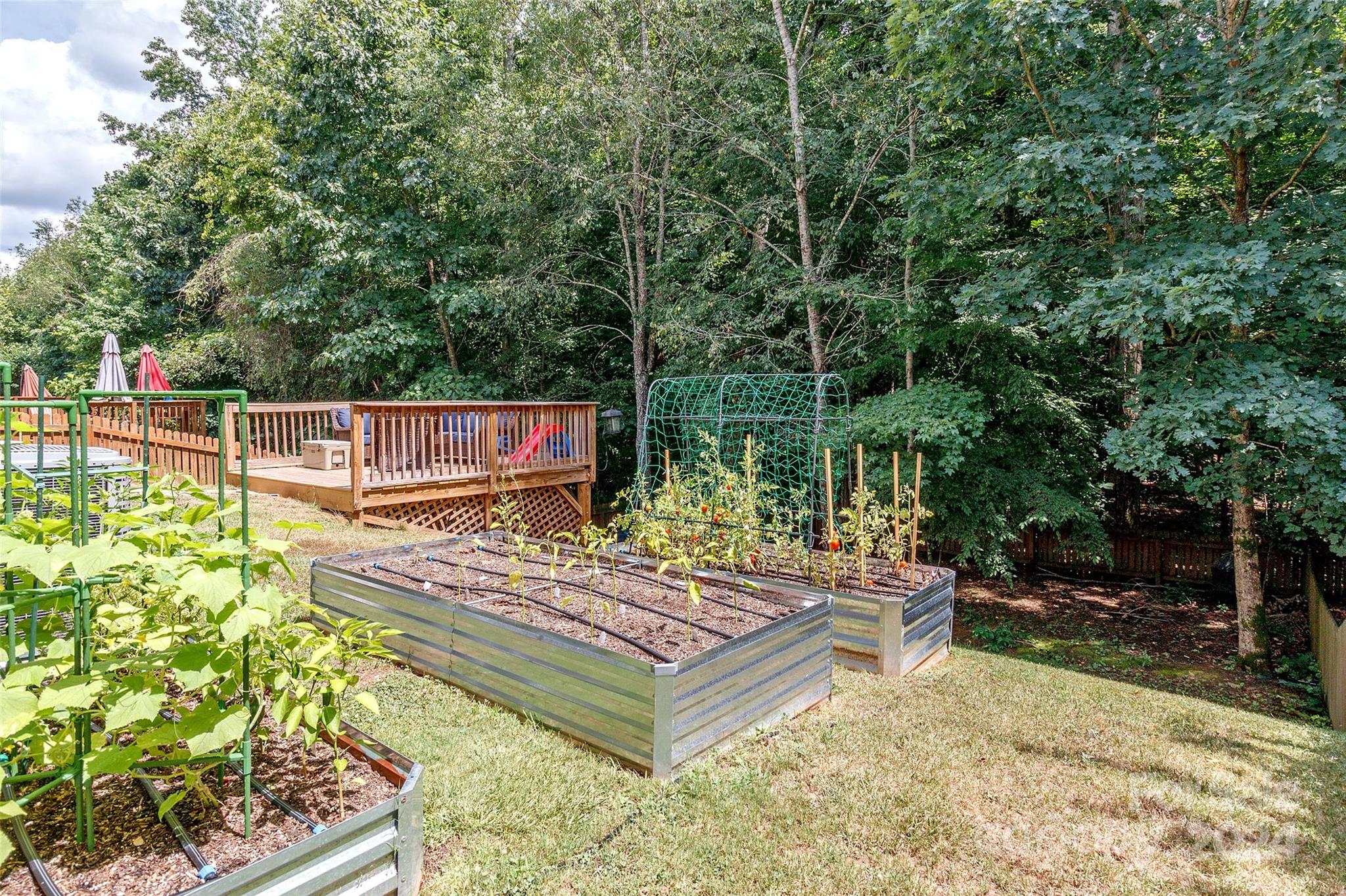 Falcon Ridge - Residential