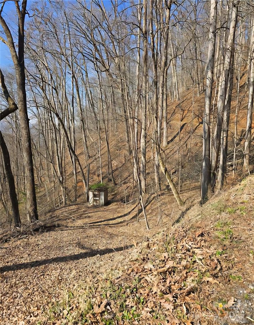 Prime Mountain Lot Near WCU – Ready for Your Dream Home!

Nestled in the heart of Cullowhee, just 10 minutes from Western Carolina University, Lot 32 on Black Mountain Rd offers nearly 2 acres of mountain beauty with dual access from both the top and bottom of the property. This lot is perfect for a primary residence or a vacation getaway, providing the ideal setting to enjoy the stunning landscapes of Western North Carolina.

An added bonus—there is already a well in place with shared water rights to one neighbor, offering an abundance of water for your future home. With plenty of space to design your dream retreat, the possibilities here are endless!

If you're ready to make this your perfect building spot, I’m here to help every step of the way. Reach out today, and let's bring your mountain living dreams to life!

See links for video here:
*Upper access-https://photos.app.goo.gl/uExfBPCDy3jNh9VA7
*Loqwe access-https://photos.app.goo.gl/GtkgBKQWXJNw5ak28