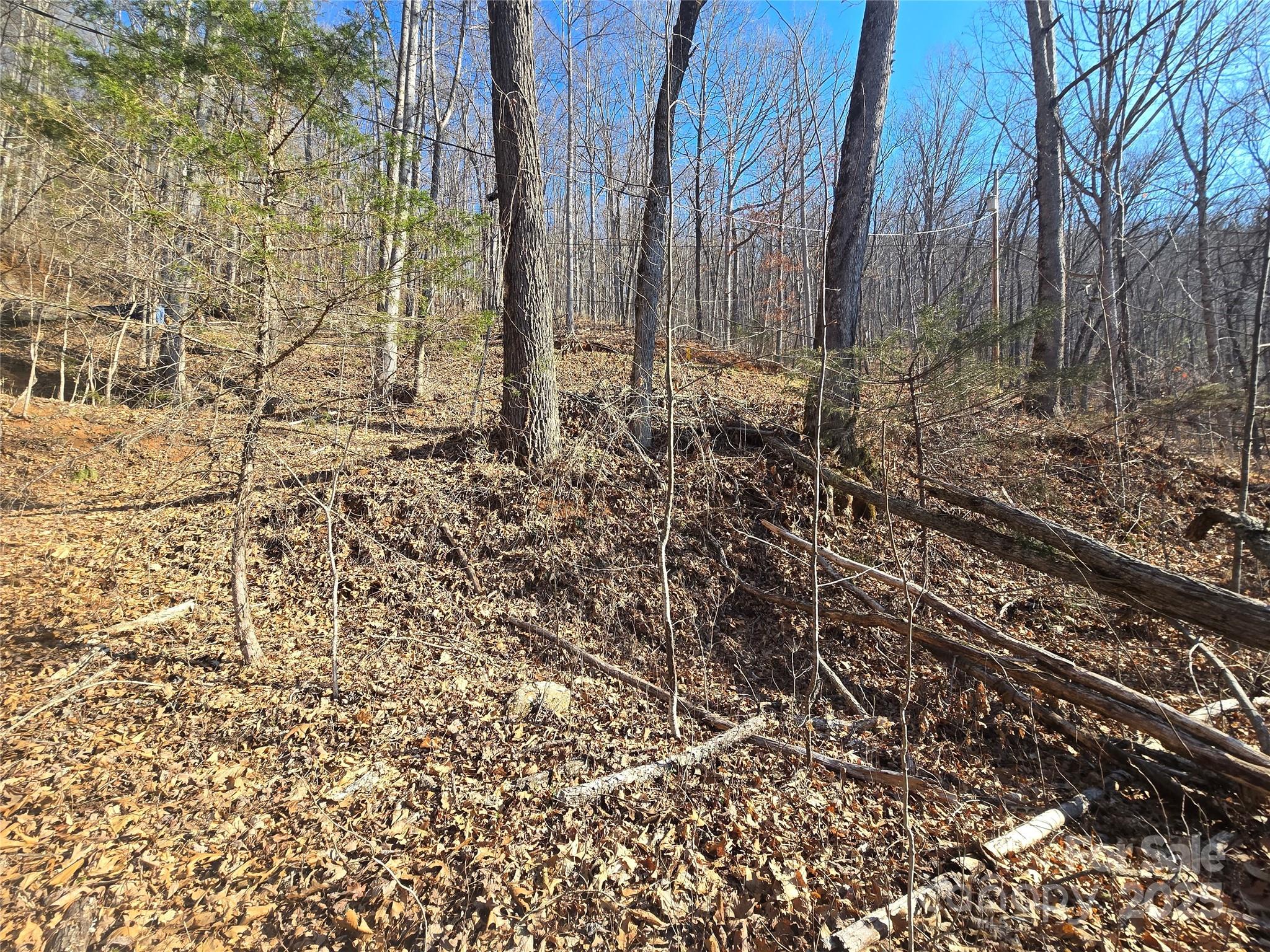 32 Black Mountain Road