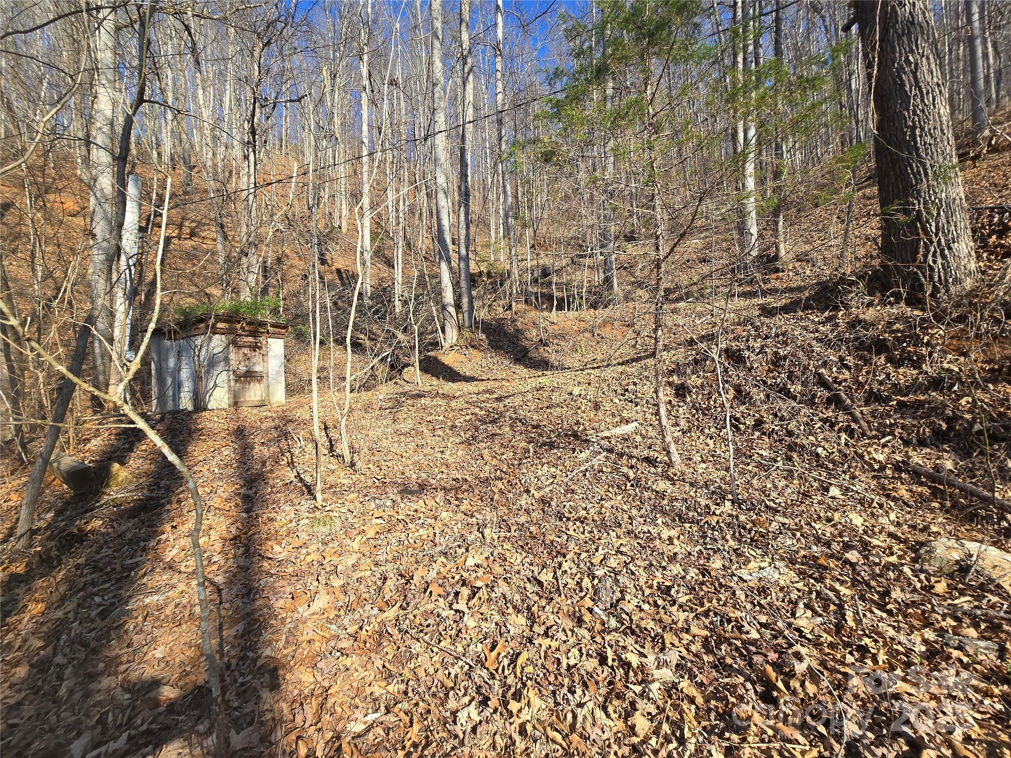 32 Black Mountain Road