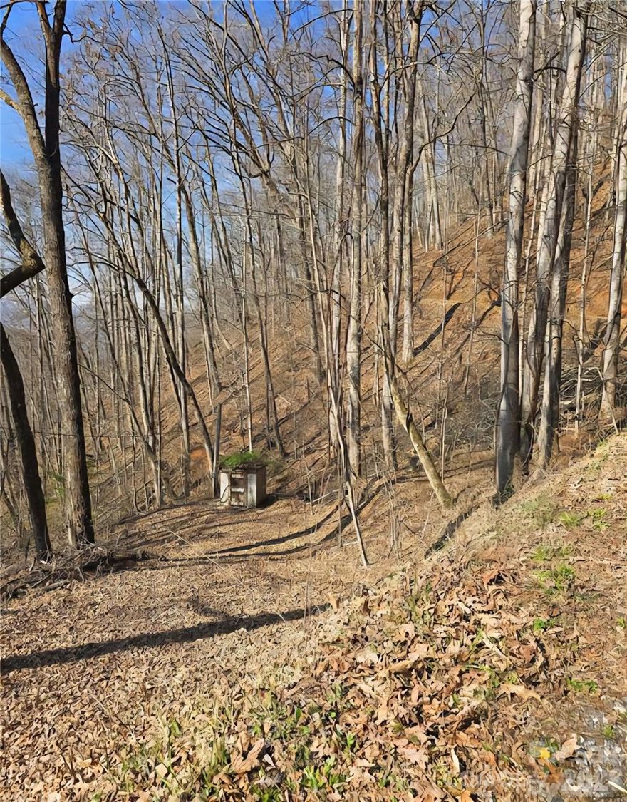 Prime Mountain Lot Near WCU – Ready for Your Dream Home!

Nestled in the heart of Cullowhee, just 10 minutes from Western Carolina University, Lot 32 on Black Mountain Rd offers nearly 2 acres of mountain beauty with dual access from both the top and bottom of the property. This lot is perfect for a primary residence or a vacation getaway, providing the ideal setting to enjoy the stunning landscapes of Western North Carolina.

An added bonus—there is already a well in place with shared water rights to one neighbor, offering an abundance of water for your future home. With plenty of space to design your dream retreat, the possibilities here are endless!

If you're ready to make this your perfect building spot, I’m here to help every step of the way. Reach out today, and let's bring your mountain living dreams to life!

See links for video here:
*Upper access-https://photos.app.goo.gl/uExfBPCDy3jNh9VA7
*Loqwe access-https://photos.app.goo.gl/GtkgBKQWXJNw5ak28