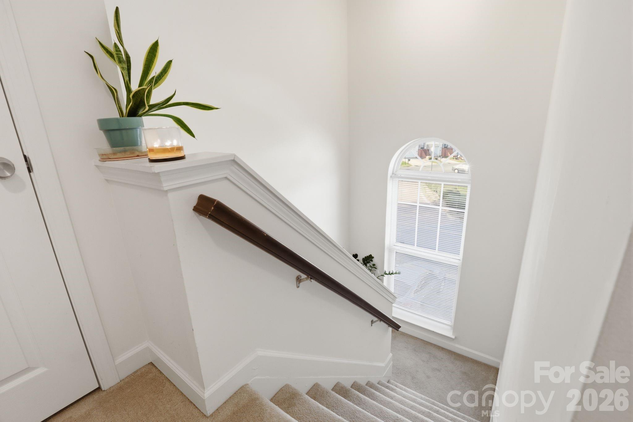 Avalon at Mallard Creek - Residential