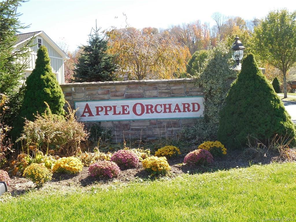 Apple Orchard - Land