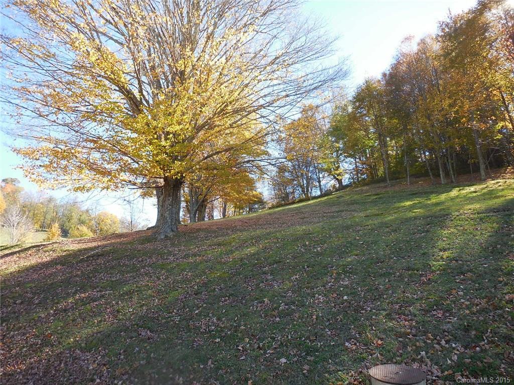 Apple Orchard - Land