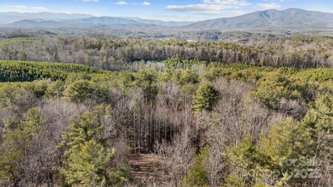 517 Old Wildlife Club Drive Nebo NC 28761
