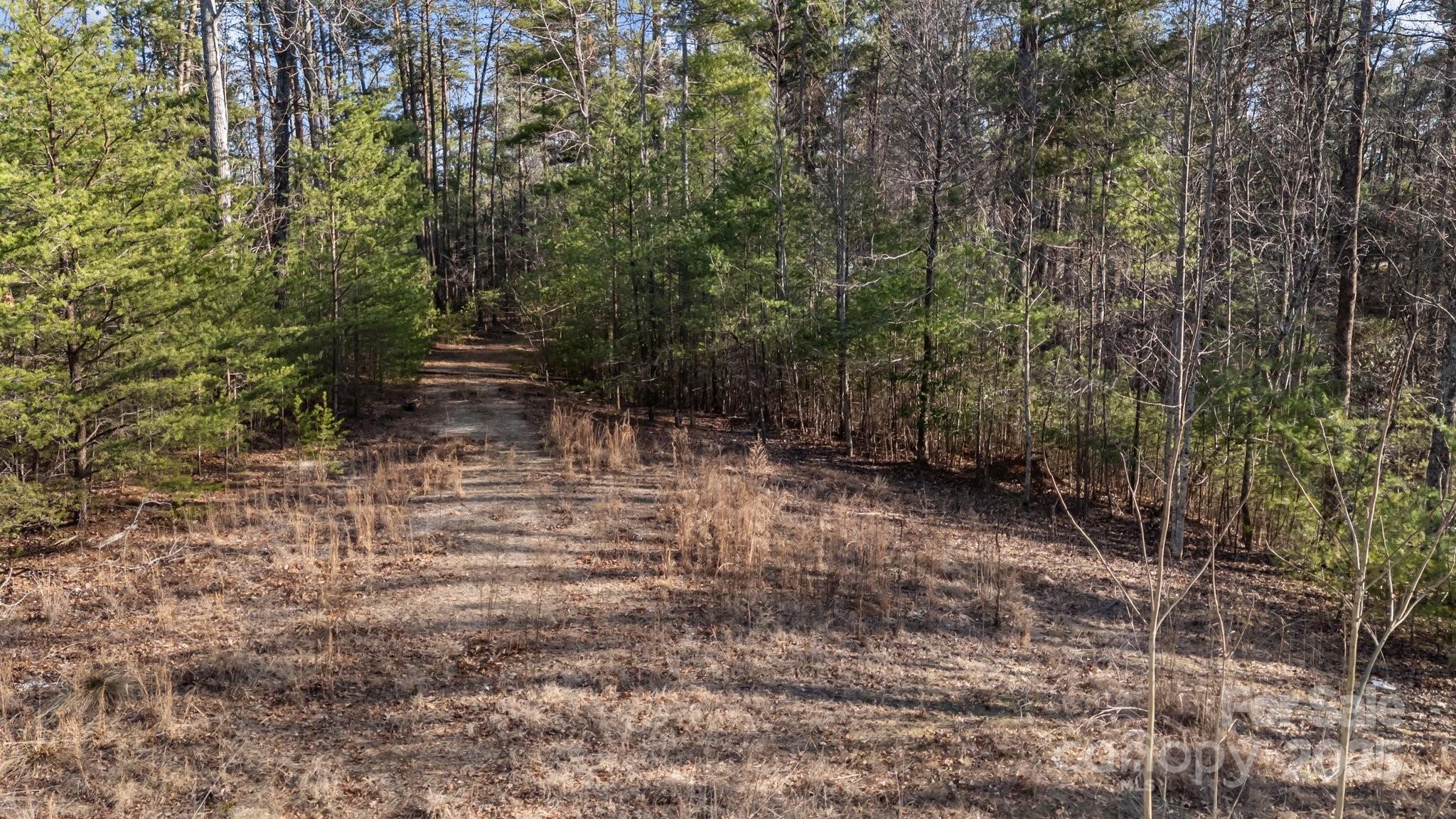 517 Old Wildlife Club Drive