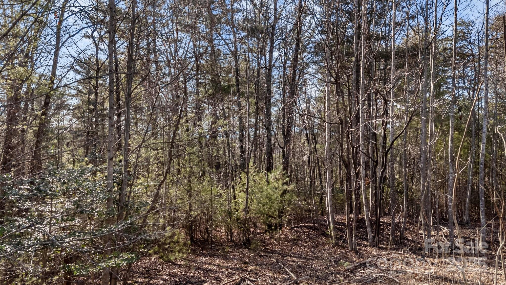 517 Old Wildlife Club Drive