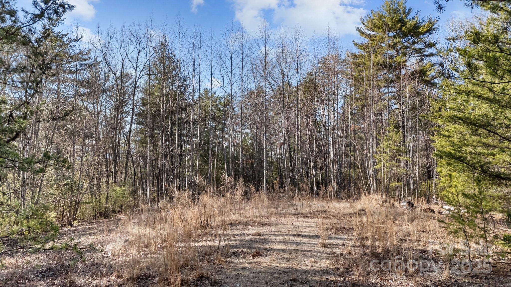 517 Old Wildlife Club Drive