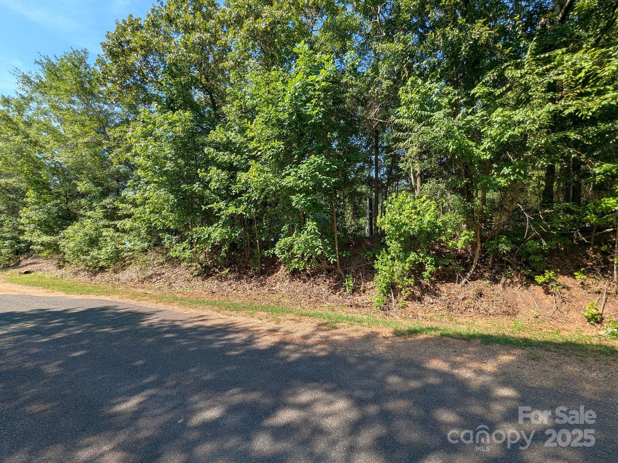 0000 Tract #1A Roddey Road