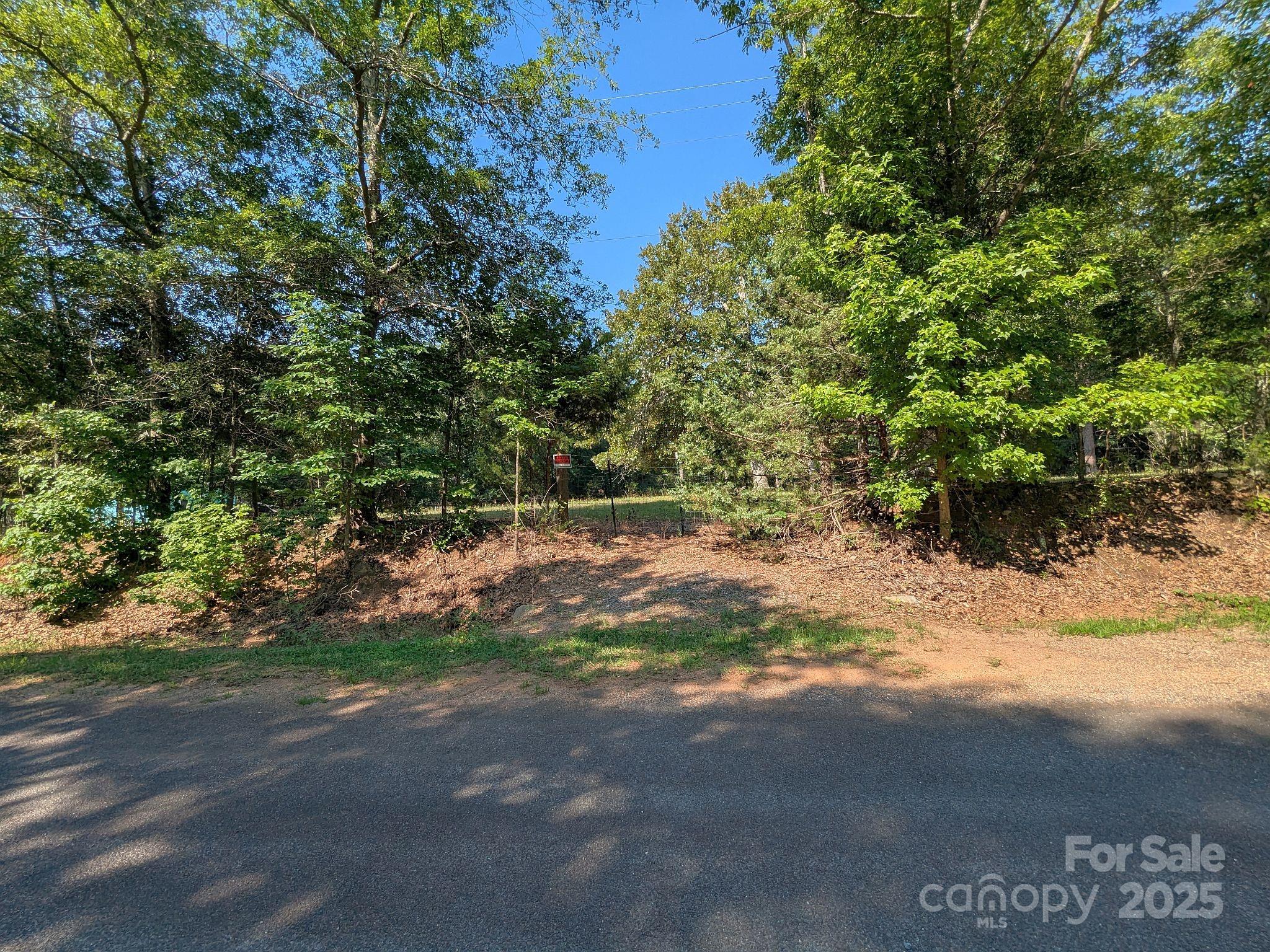 0000 Tract #1A Roddey Road