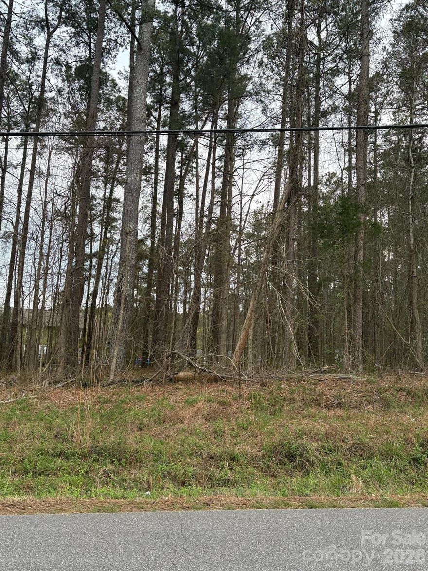 Enjoy a serene and quiet setting while planning your future. Perfect for building your personal home or holding as an investment. Conveniently close to shopping, dining, and major roads, this lot offers the perfect balance of peace and accessibility. Don’t miss this rare opportunity!