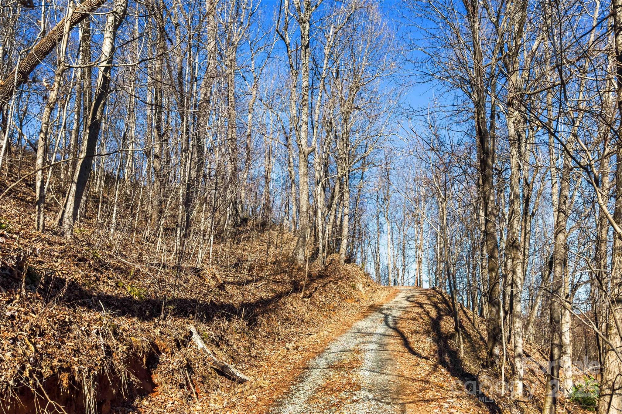 9999 Cell Tower Road