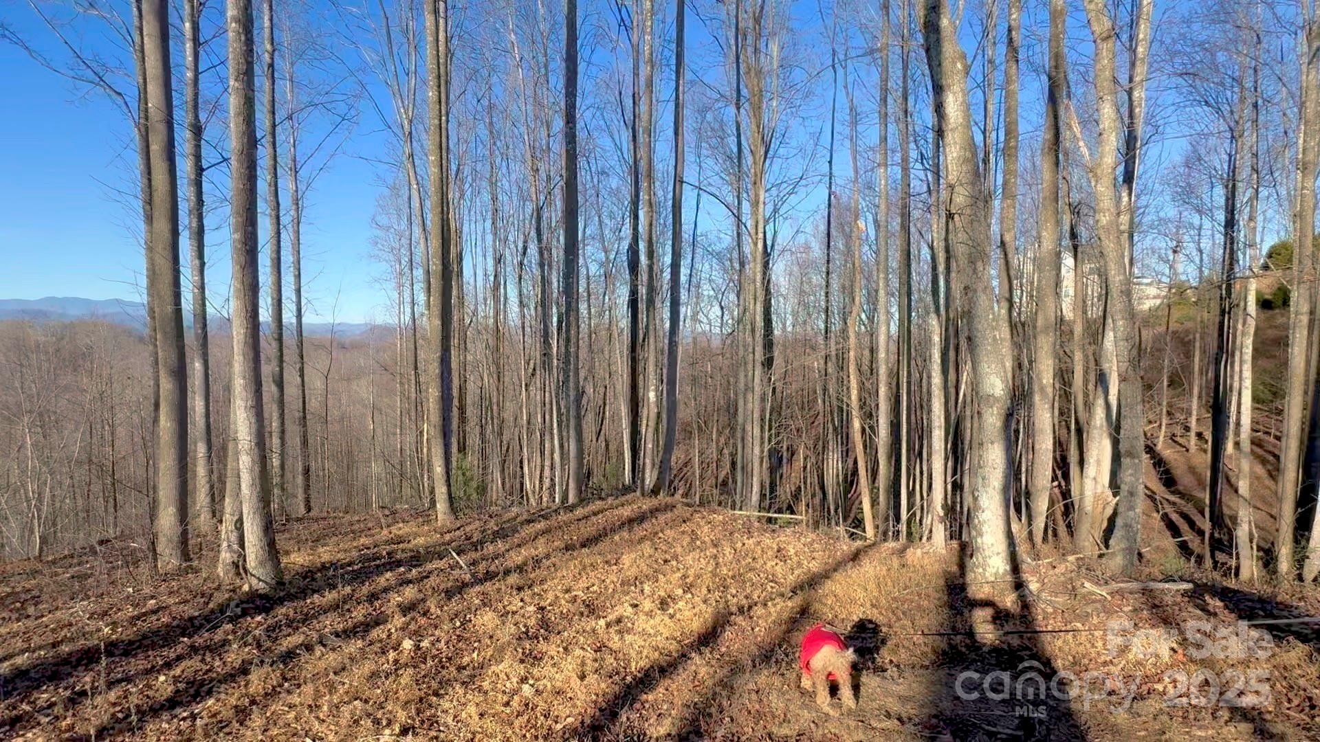 2.01 acres, Lot 971 Soaring Top Lane 971