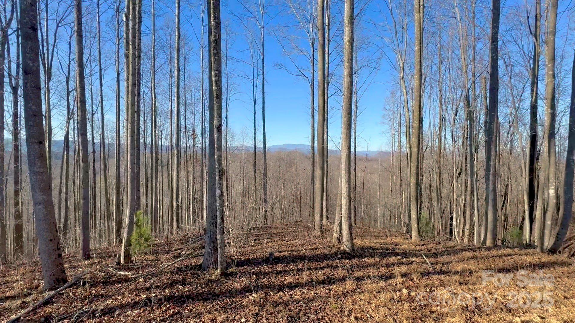 2.01 acres, Lot 971 Soaring Top Lane 971