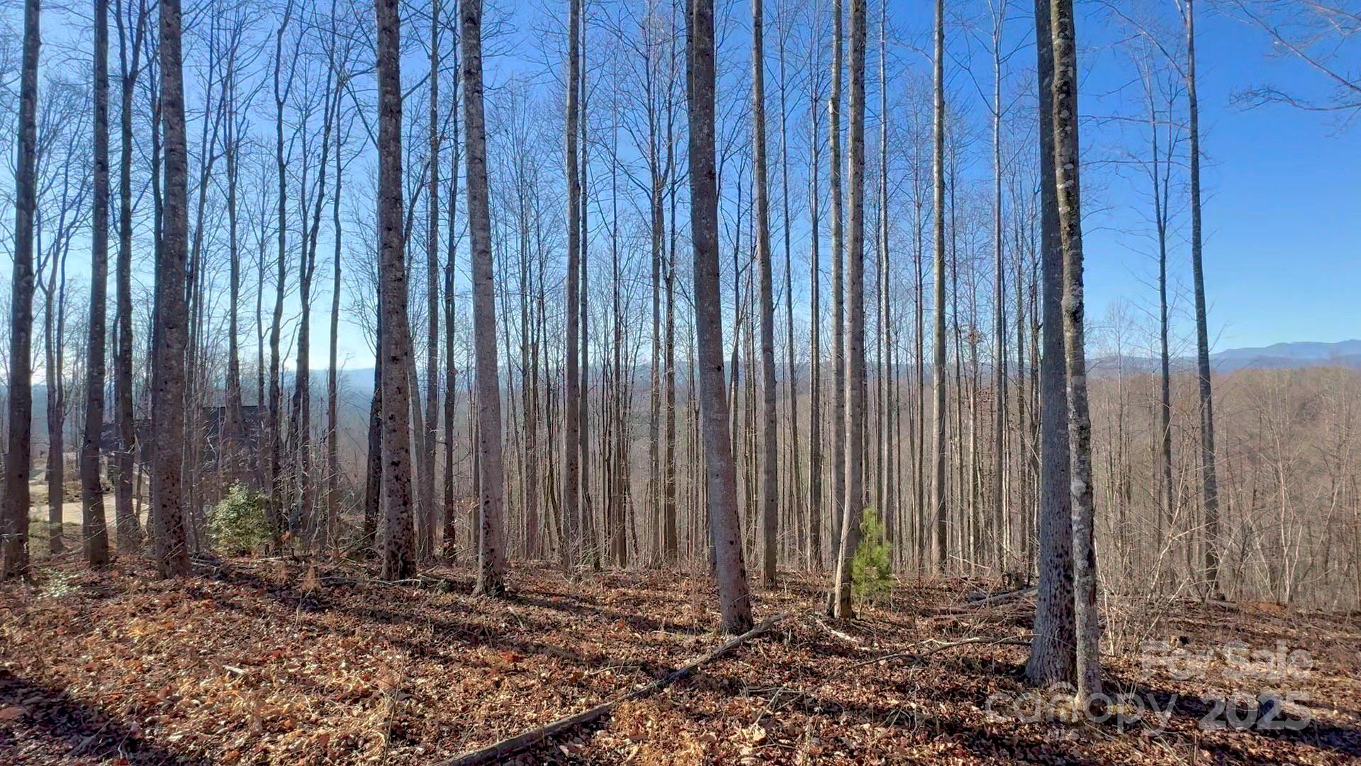2.01 acres, Lot 971 Soaring Top Lane 971