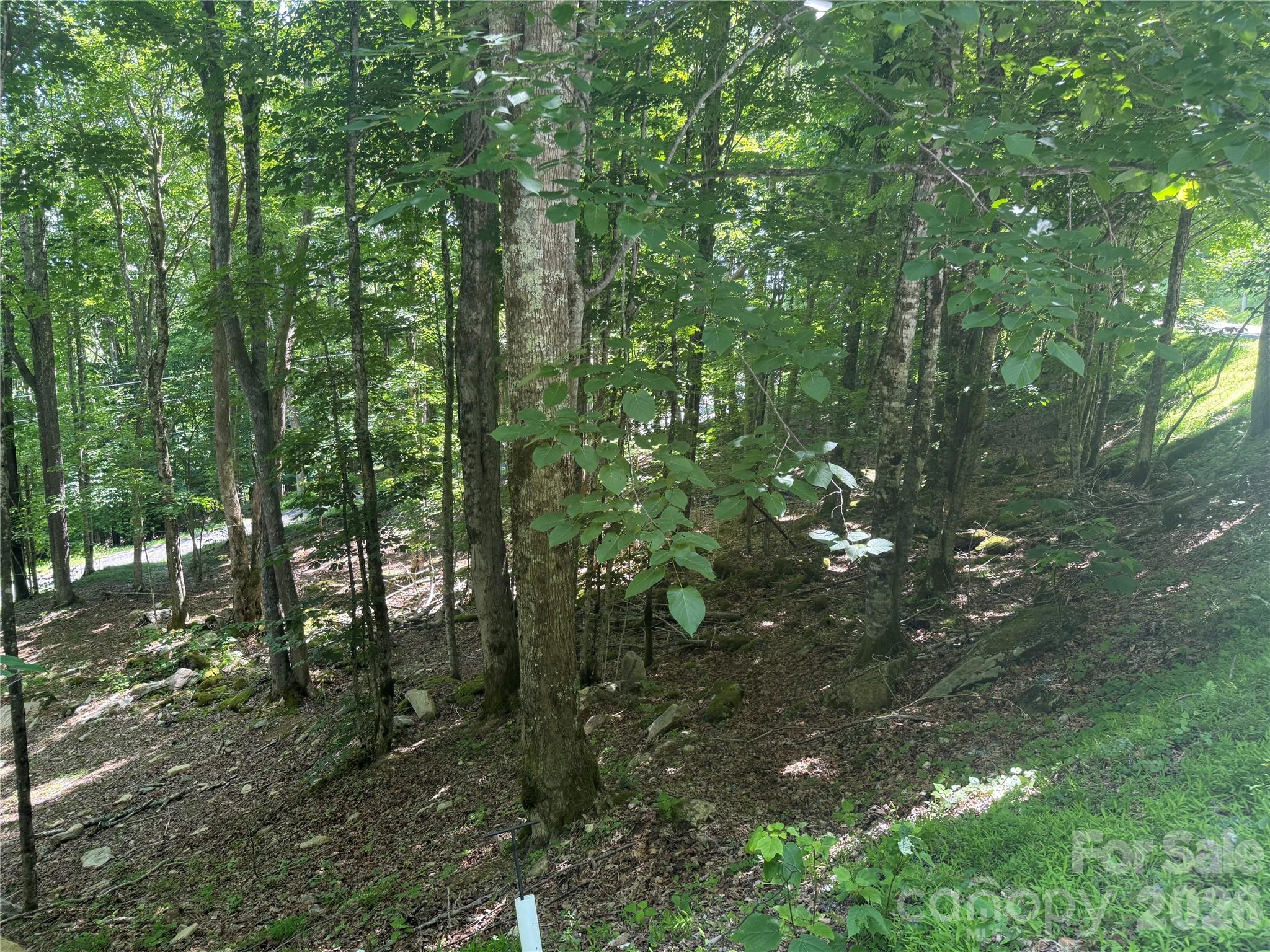 200 Wild Daisy Road 200