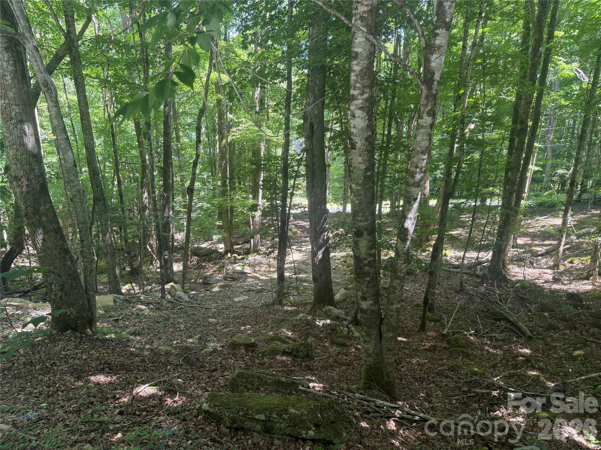200 Wild Daisy Road 200