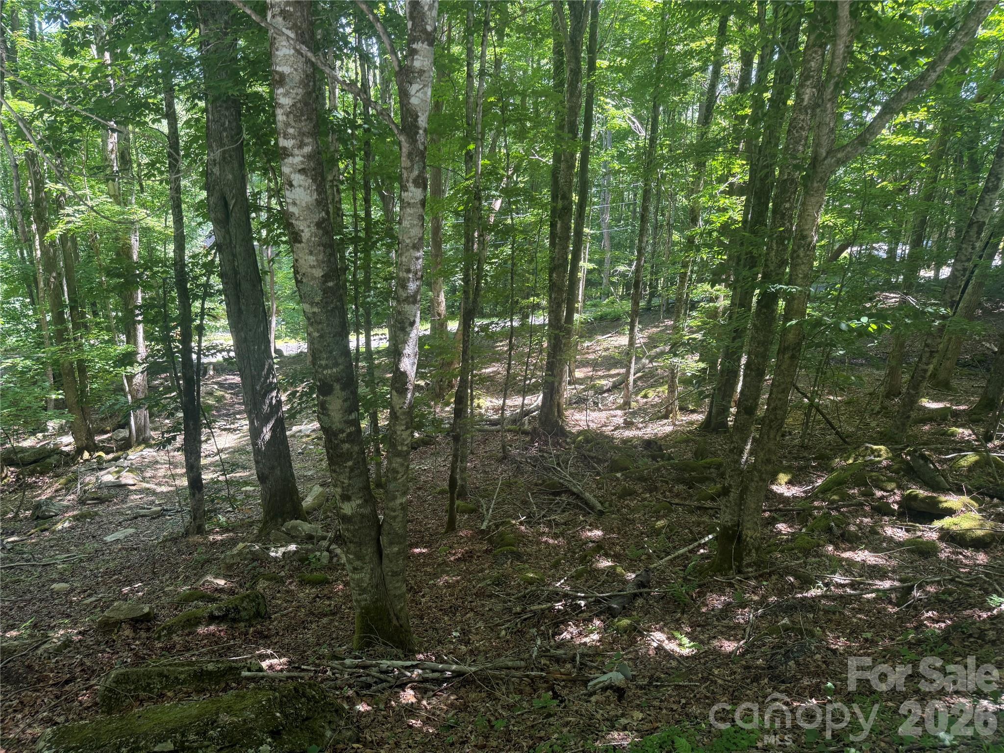 200 Wild Daisy Road 200