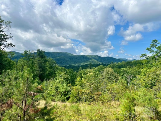 667 LAUREL THICKET, BREVARD, NC 28712 - Image b8d50ba52eecba0aec51114debba5ea8/851211853