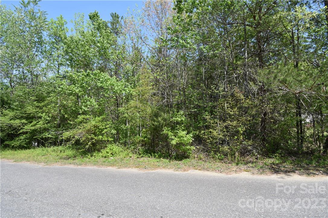 Cool Water Estates - Land