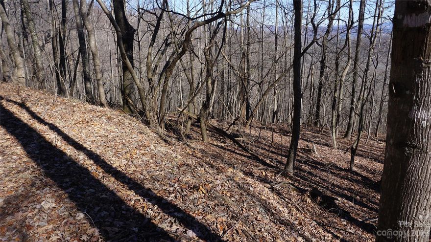 This nice sized lot has A Conservancy on one side. The long range views will sing you to sleep after and day of Hiking or Fishing or Golf or a day of shopping. With a great spot to build your dream home you'll get to put your kitchen and family room and just what you want in a home! A crawl space or walk out basement would work on this easy build lot. Hurry it won't last long.