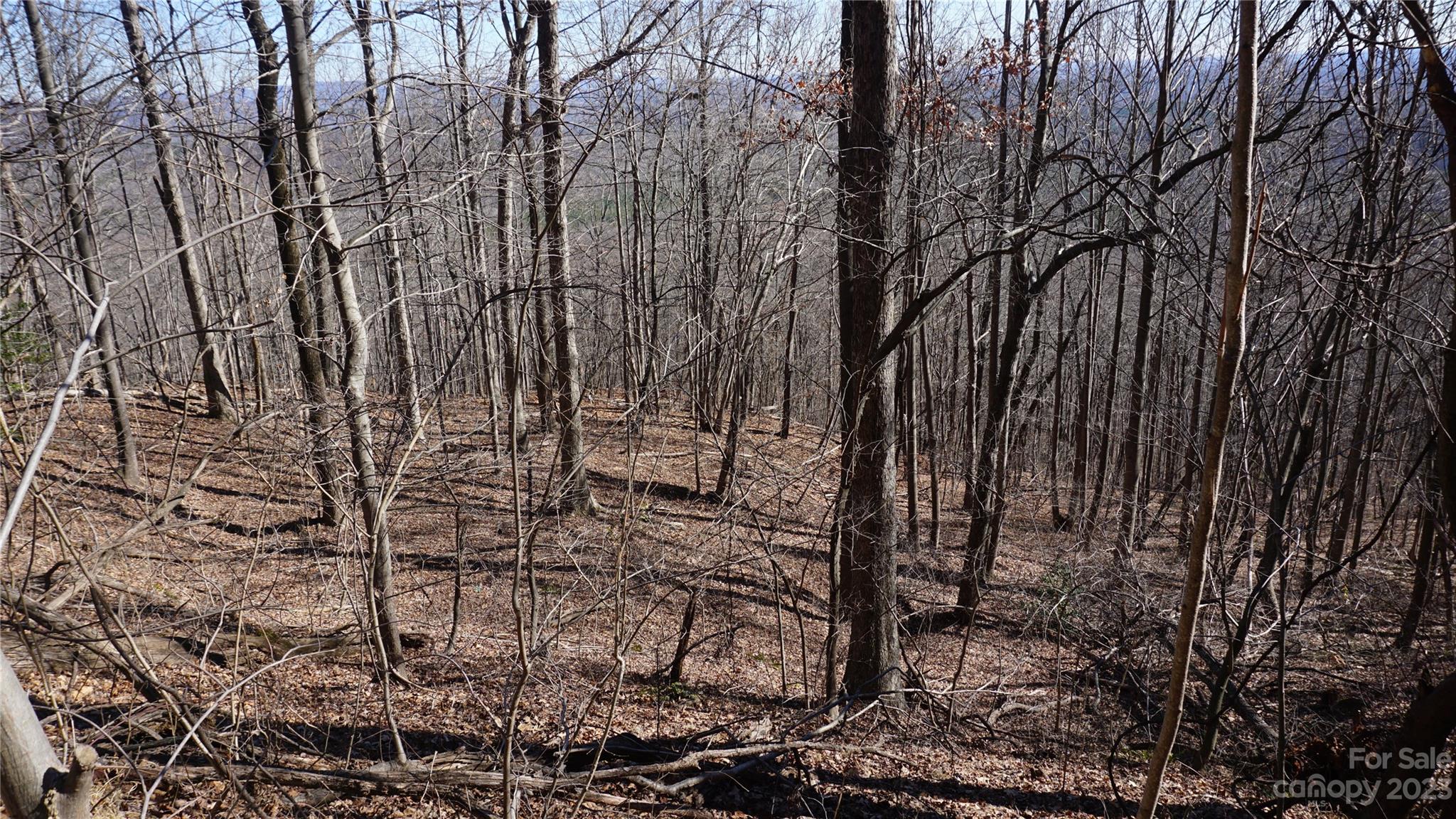Pinnacle Mountain - Land