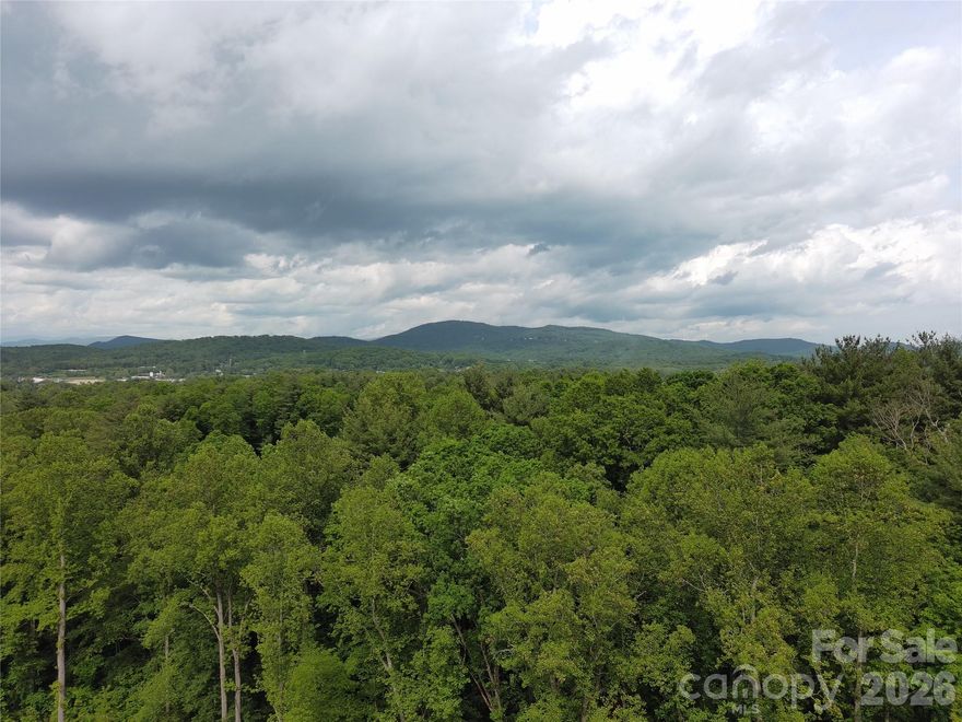 Great opportunity to purchase land just minutes from everything! Minimal site prep, protective covenants, and over an acre of location, location, location! Only 15 minutes to Sierra Nevada Brewing Company, Biltmore Park, and the Asheville airport! And only 10 minutes to Downtown Hendersonville. CITY WATER! Visit your future home site today and begin planning your custom-built home.