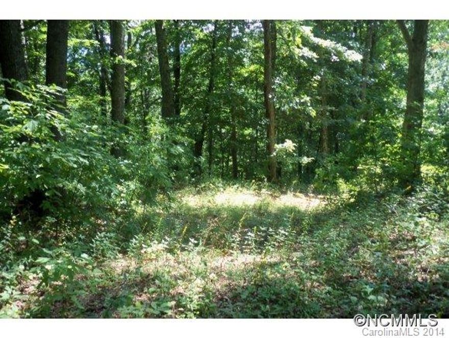 GATED COMMUNITY-Large wooded lot with great views. Just minutes from Waynesville/Maggie Valley and all they have to offer. Only 25 minuts to Asheville. 1hr 20 minutes down the interstate to Gatlinburg/Pigeon Forge Tenn. Shop, Dine Out, Golf, Fish, WW Rafting, Dollywood, Hiking, Camping, Horseback Riding, Blueridge Parkway, Harrah's Casino, Festivals, See NC Elk herd daily and much more all right here in Western North Carolina. Why Wait.