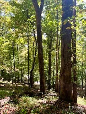 TBD Hickory Vista Lane 101, 102, 103, 106, 107